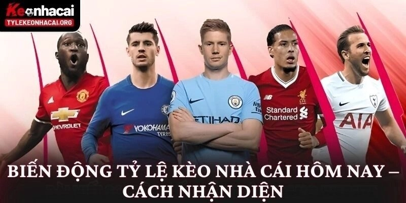 Biến động tỷ lệ kèo bóng đá